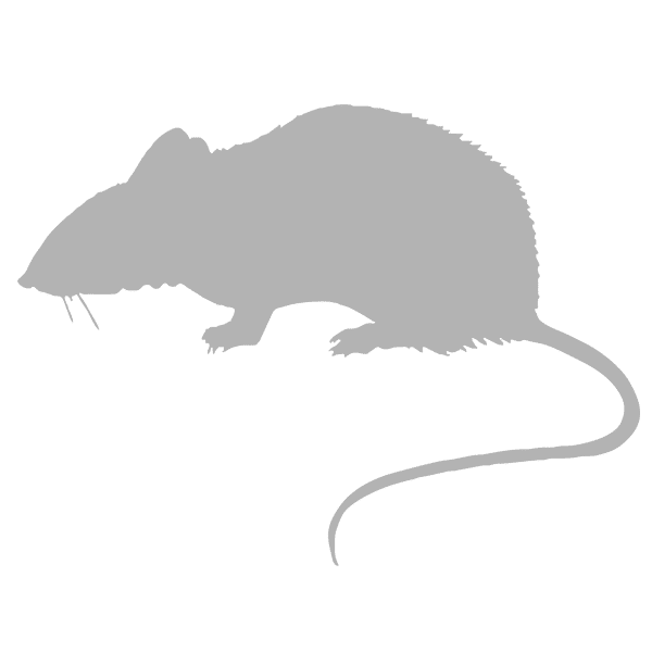 rat1 - Unified Information Devices