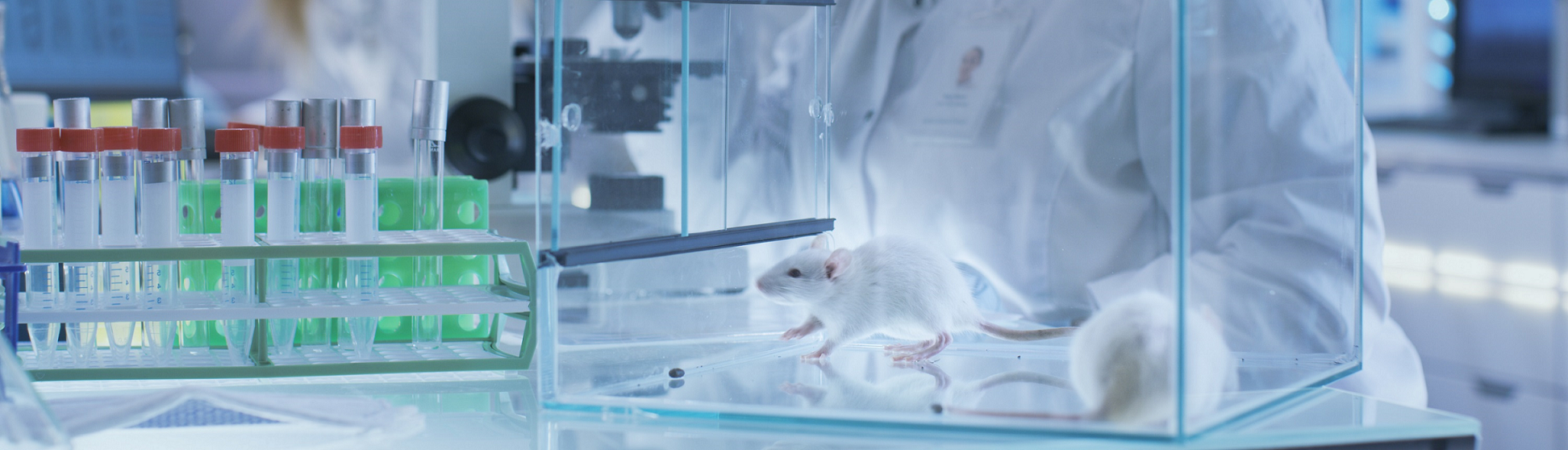 LabAnimalId3 Unified Information Devices