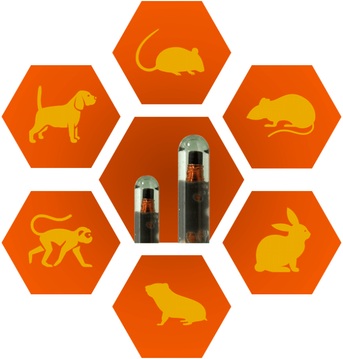 Microchip surgical vendor unified information devices
