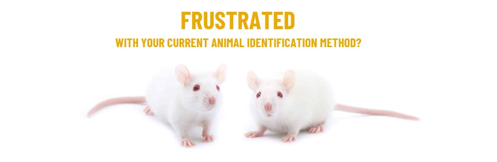 Animal ID Unified Information Devices