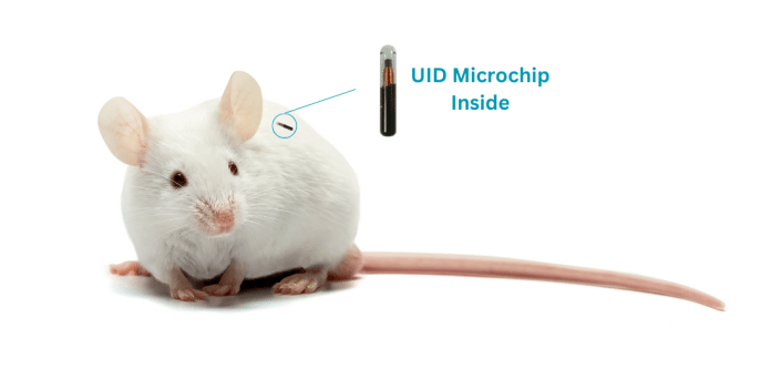 Laboratory Animal Microchips - Unified Information Devices