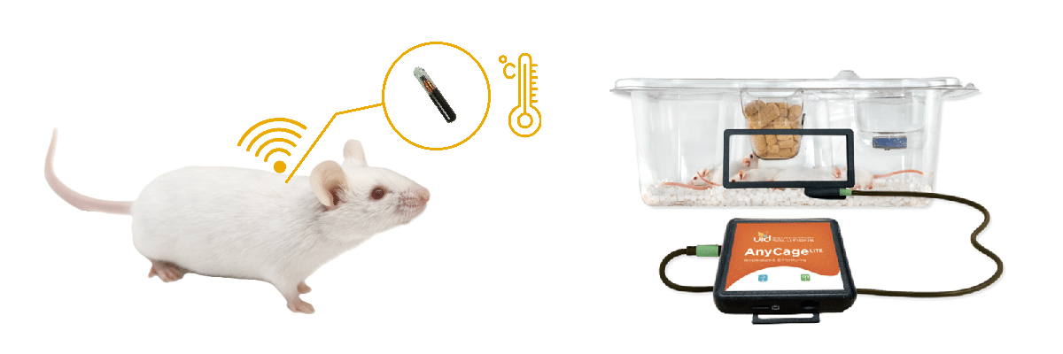 Mouse with UID implantable sensor inside a home cage — illustrating non-invasive continuous monitoring